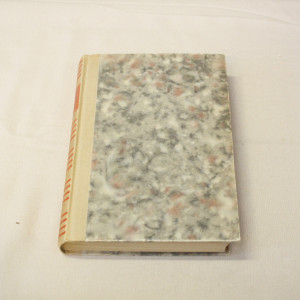 Aaro Honka Riuska ratsupartio eli teini Tanelin uusimmat urotyöt